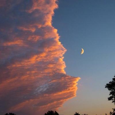 乐天堂点评指导