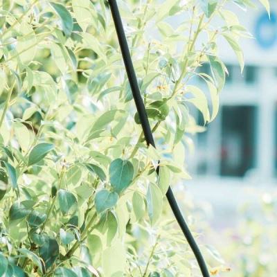 幸运28下载手机版