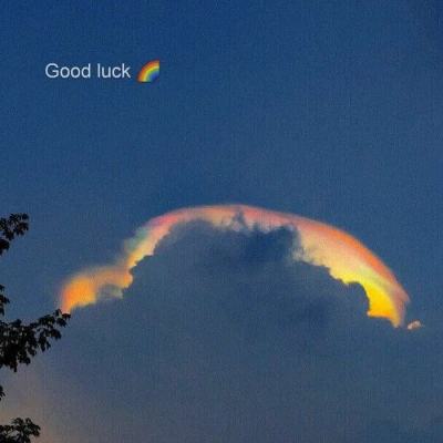 乐鱼官网手机版app下载